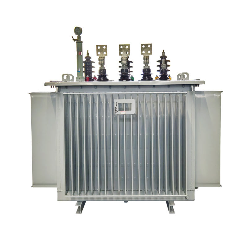Oil-immersed distribution transformer S11 S13 S20 S22 manufactured by BeiDian Electric